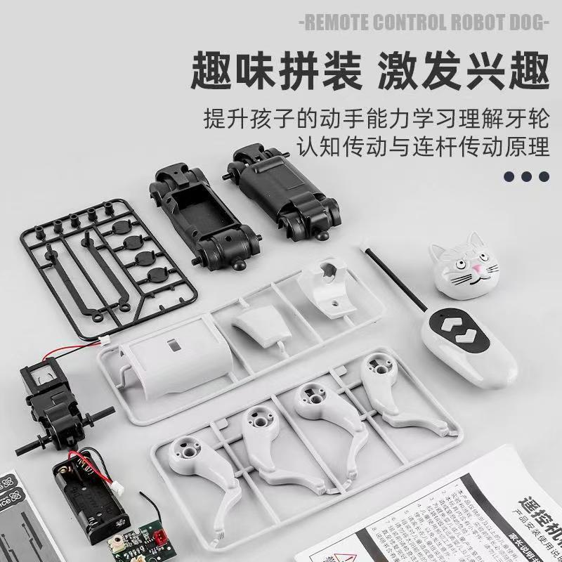 Remote Control Diy Assembly Wa - Is Learning Science A Hobby ulasan dan harga