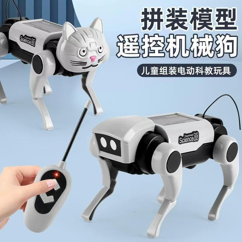 Remote Control Diy Assembly Wa - Is Learning Science A Hobby ulasan dan harga